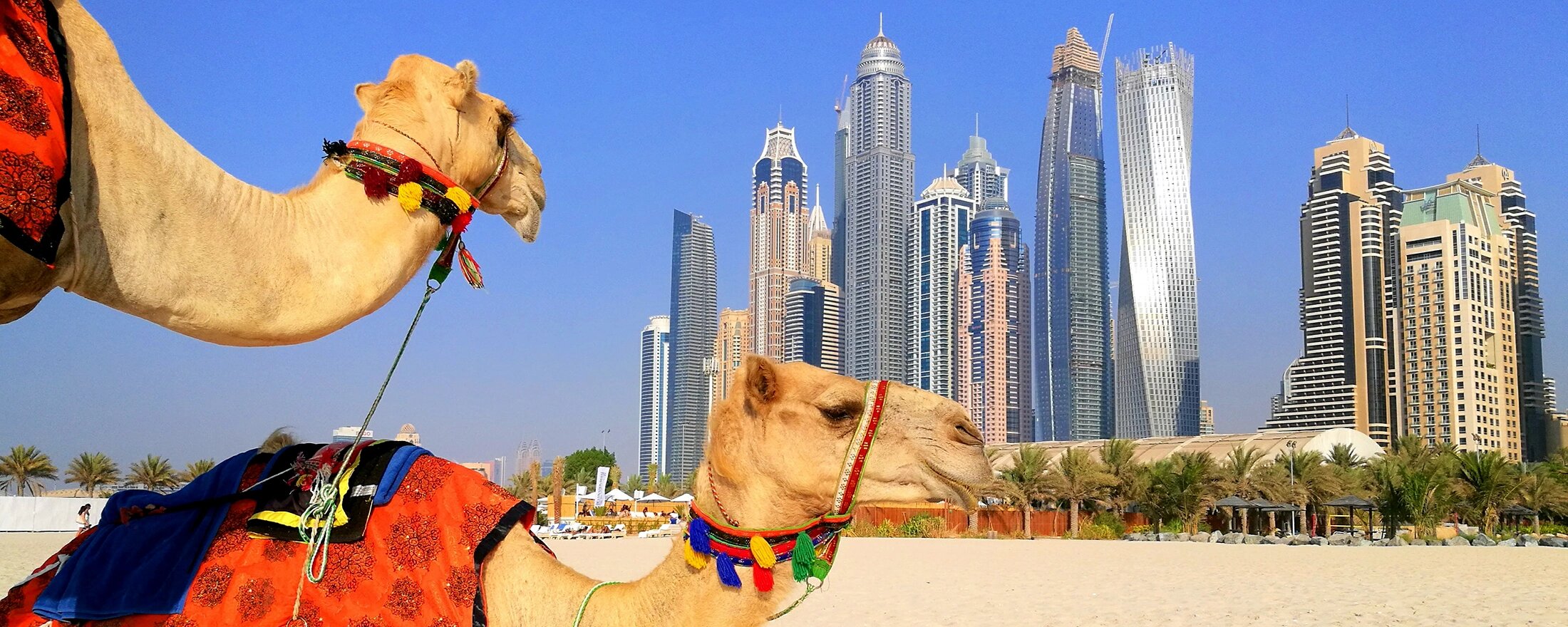 Top 10 Luxury Things to Do in Dubai